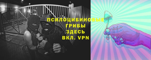 мяу мяу кристалл Ельня