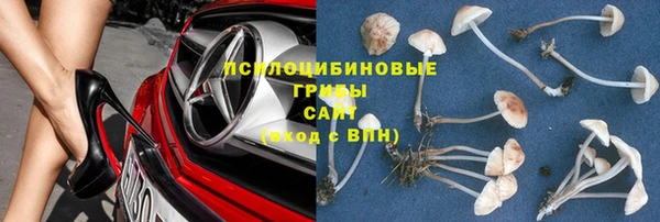 мяу мяу кристалл Ельня