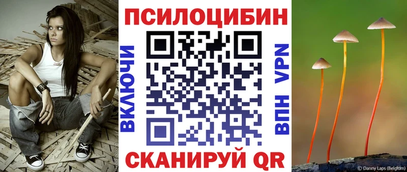 Псилоцибиновые грибы Cubensis  Купить где  Ногинск 